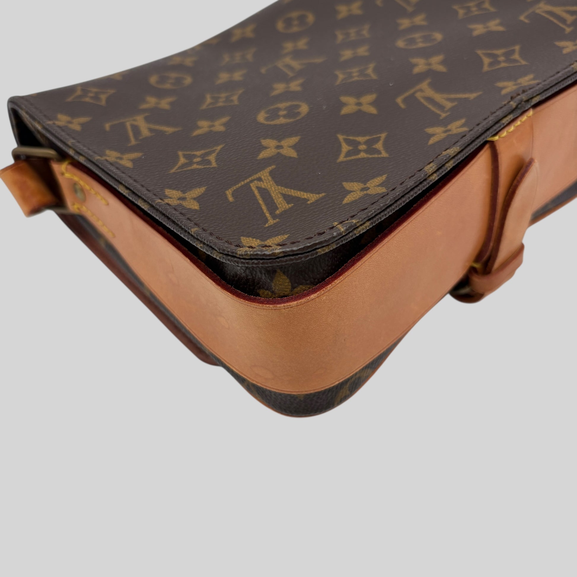 Louis Vuitton Cartouchière MM