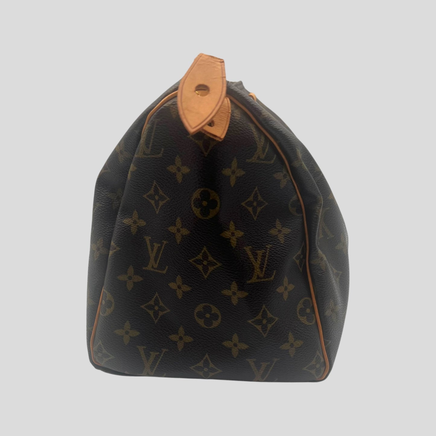 Louis Vuitton Speedy 30 Monogram