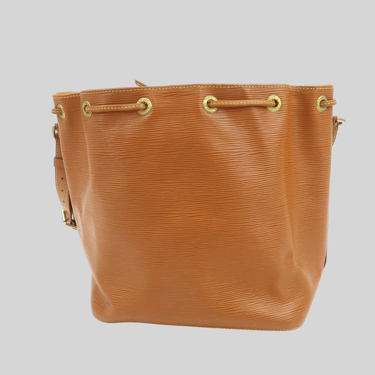 Louis Vuitton Noé PM Epi