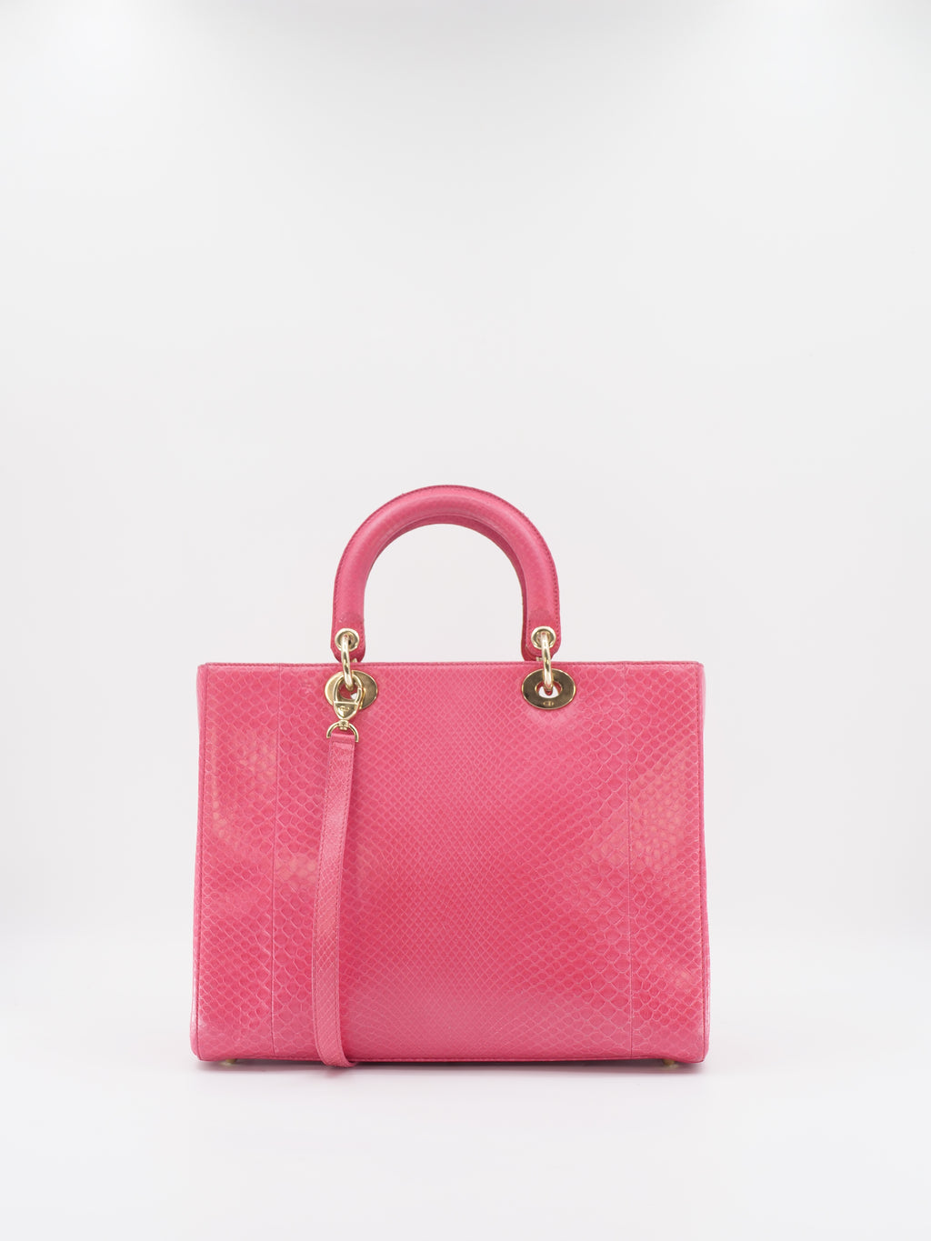 DIOR LADY L PYTHON